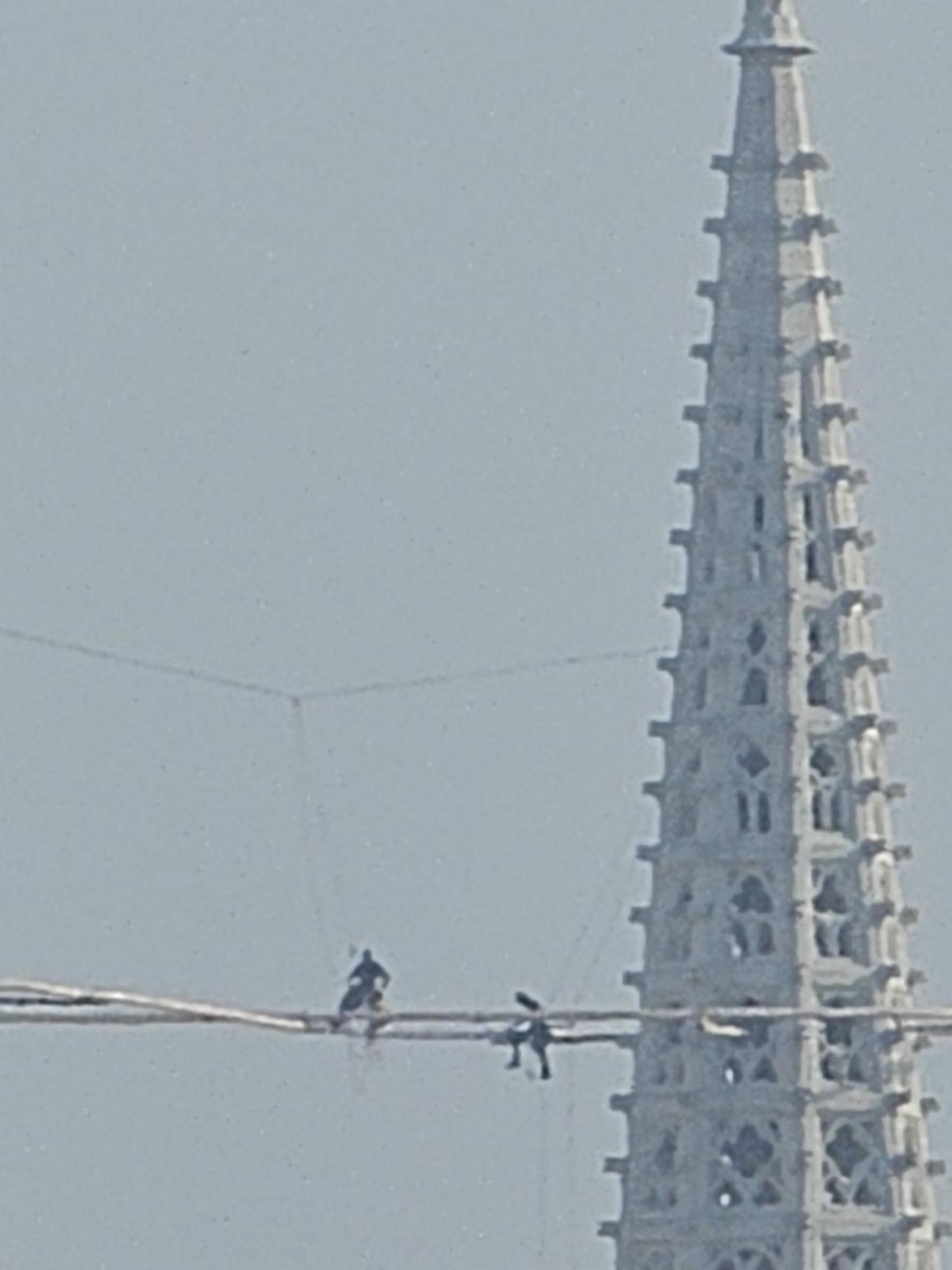 Zwei Arbeiter stehen hoch oben zwischen den Türmen der Wiener Votivkirche und arbeiten an einem beleuchteten Symbol in Form einer liegenden Acht vor dem hellen Himmel.